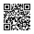 QR Code (код быстрого отклика)