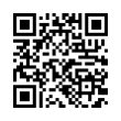 QR Code (код быстрого отклика)