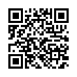 QR Code (код быстрого отклика)