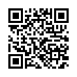 QR Code (код быстрого отклика)