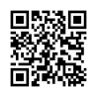 QR Code (код быстрого отклика)