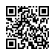 QR Code (код быстрого отклика)