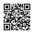 QR Code (код быстрого отклика)