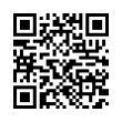 QR Code (код быстрого отклика)