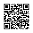 QR Code (код быстрого отклика)