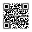 QR Code (код быстрого отклика)