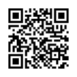 QR Code (код быстрого отклика)