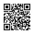 QR Code (код быстрого отклика)