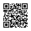 QR Code (код быстрого отклика)