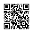 QR Code (код быстрого отклика)