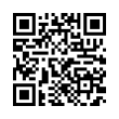 QR Code (код быстрого отклика)