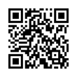 QR Code (код быстрого отклика)