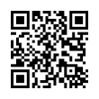 QR Code (код быстрого отклика)