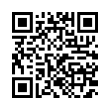 QR Code (код быстрого отклика)