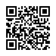 QR Code (код быстрого отклика)