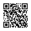 QR Code (код быстрого отклика)
