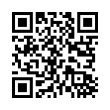 QR Code (код быстрого отклика)