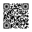 QR Code (код быстрого отклика)