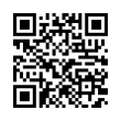 QR Code (код быстрого отклика)