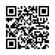 QR Code (код быстрого отклика)