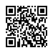 QR Code (код быстрого отклика)