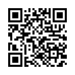 QR Code (код быстрого отклика)