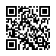 QR Code (код быстрого отклика)