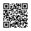 QR Code (код быстрого отклика)