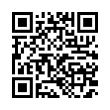 QR Code (код быстрого отклика)