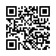 QR Code (код быстрого отклика)