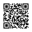 QR Code (код быстрого отклика)