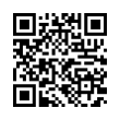 QR Code (код быстрого отклика)