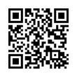 QR Code (код быстрого отклика)