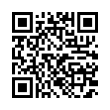 QR Code (код быстрого отклика)