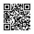 QR Code (код быстрого отклика)