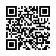 QR Code (код быстрого отклика)