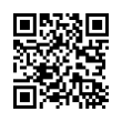 QR Code (код быстрого отклика)
