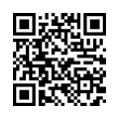 QR Code (код быстрого отклика)