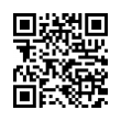 QR Code (код быстрого отклика)