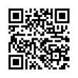 QR Code (код быстрого отклика)