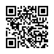 QR Code (код быстрого отклика)